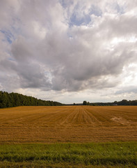 Fototapeta premium cloudy weather 