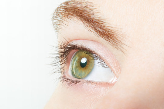 Human, green healthy eye macro with white background