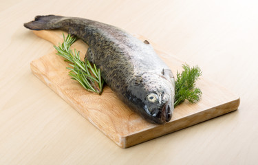 Raw fresh trout