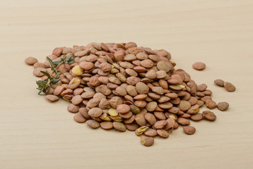 Dry Lentil