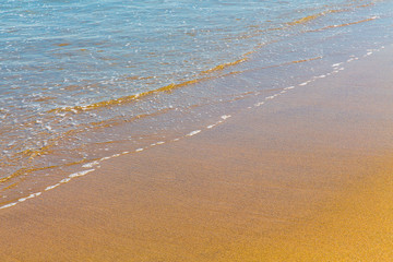 Closeup of sea foam on wet golden sand with copy space