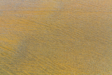 beach sand background