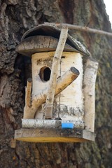 Wooden Birdhouse on a Tree Trunk