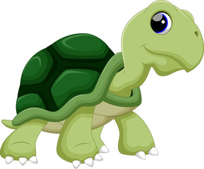 Turtle cartoon