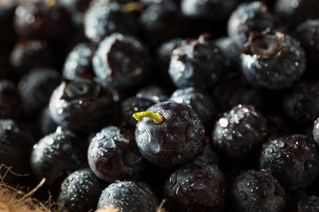Fresh Raw Organic Blueberries