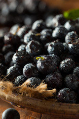 Fresh Raw Organic Blueberries