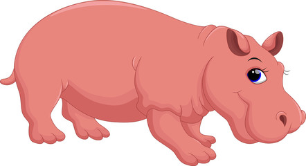 Hippo cartoon