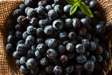 Fresh Raw Organic Blueberries