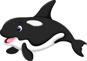 Cute killer whale cartoon - 84185115