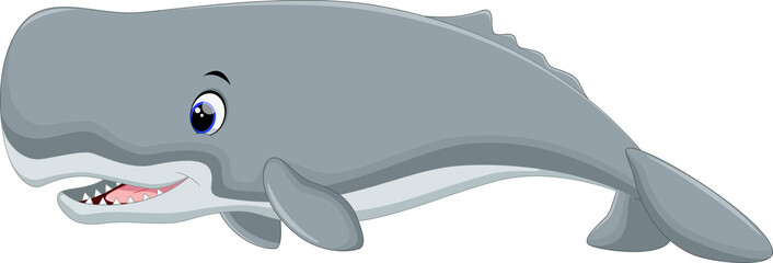 Fototapeta premium Cute whale cartoon