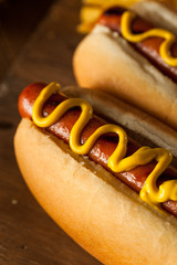 Barbecue Grilled Hot Dog
