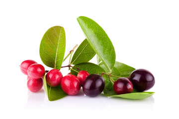 Carunda or Karonda on white background