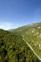 Fototapeta na wymiar mountain district other plants. Montenegro