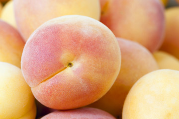 ripe apricots 