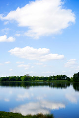 Fototapeta na wymiar Lake in the Park with Forest on the other shore, Clear blue sky