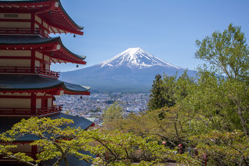 Obraz premium Chureito pagoda and Mountain Fuji in spring season