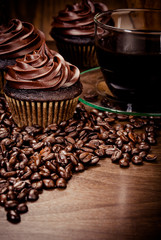Chocolate Cupcakes