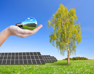 Solar energy panels on meadow and hand holding lightbulb.