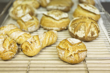 Bread baked in modern oven
