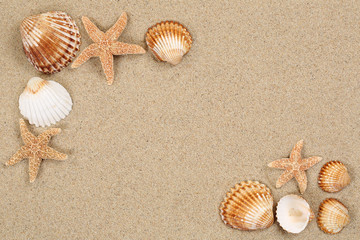Strand Szene im Urlaub Sommer mit Seestern, Muscheln und Textfre