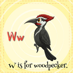 Woodpecker