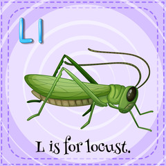 Locust