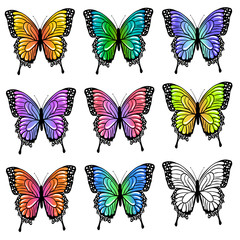 Fototapeta na wymiar Set of colorful butterflies