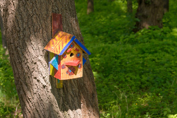 Bird Shelter in the Wood
