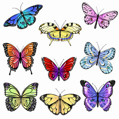 Set of colorful  butterflies