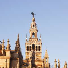 Fototapeta na wymiar The Giralda in Seville