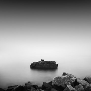 Fototapeta monochrome. black and white minimalistic seascape