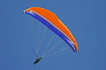 Paraglider