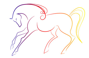 Elegant horse © vitanovski