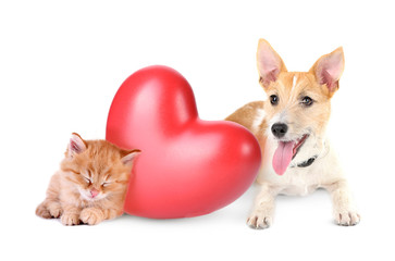 Cat and dog with red heart isolated on white