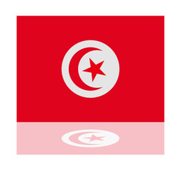 reflection flag tunisia