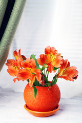 Beautiful alstroemeria in pot on windowsill