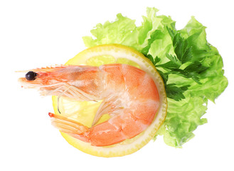 Boiled shrimp with lemon and lettuce isolated on white