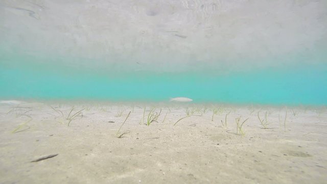 Sandy bottom, shoal blue and surface underwater in cunda island