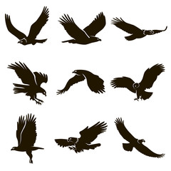 9 icons flying eagles