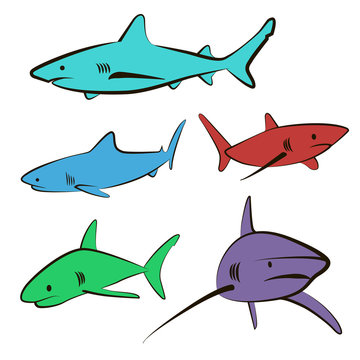 5 color icons sharks