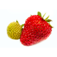 Strawberry on white background