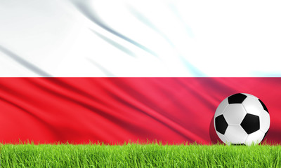 Fototapeta premium The National Flag of Poland