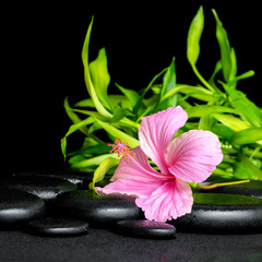 spa still life of pink hibiscus flower and twigs bamboo on zen b