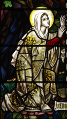 Obraz premium Mary Magdalene in stained glass