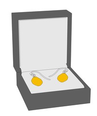 cartoon image of earrings in boxes