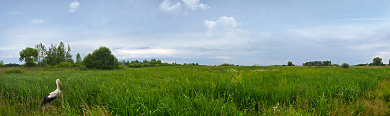 rustic landscape with stork