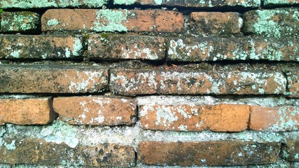 Naklejka premium Background of brick wallpaper