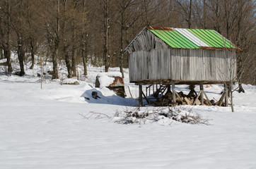 wooden shed