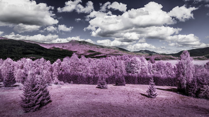 Infrared forest and mountains