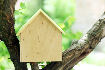 House on tree, close up